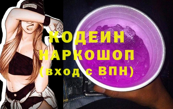 индика Аркадак