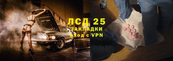 индика Аркадак