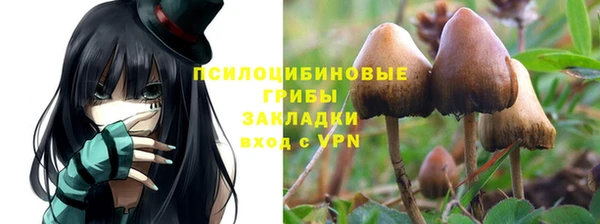 первитин Арсеньев