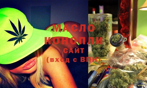 индика Аркадак