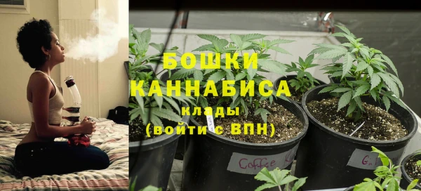 первитин Арсеньев