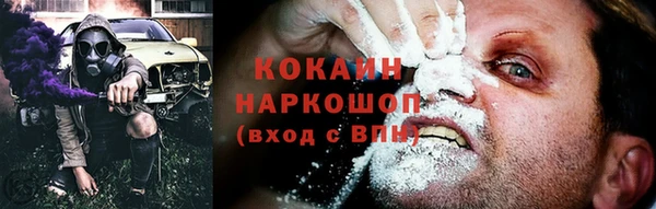 индика Аркадак