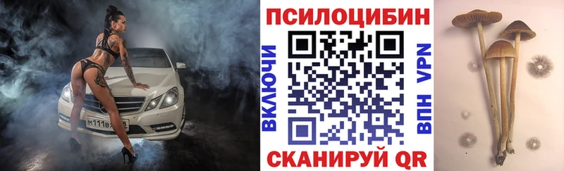 omg ссылки  Полярные Зори  Галлюциногенные грибы мицелий 